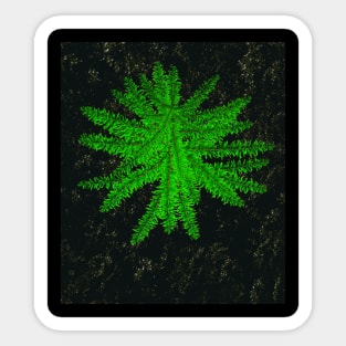 Tree Sticker